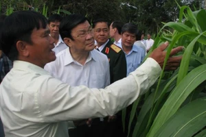 Củ Chi đóng góp vào thắng lợi chung của cả nước