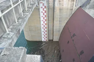 Khô hạn ‘đốt’ hàng ngàn tỉ đồng của dân Tây Nguyên