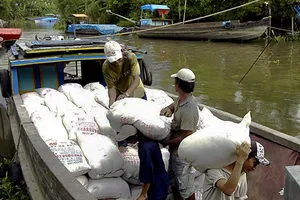 Tranh nhau mua lúa gạo
