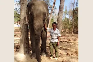 Ký sự rừng sâu - bài 3: Những ‘chiến binh’ giải cứu voi rừng