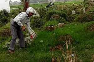 Quản trang bán đất mồ mả đút túi riêng