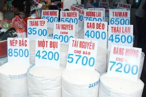 Đừng sốc vì gạo có thạch tín