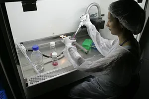 Khỏi cần tình dục vẫn duy trì được nòi giống 