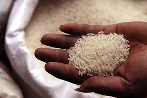 Trung Quốc đẩy mạnh mua gạo Việt