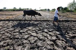 Miền Tây: Giữa tháng 4 mới có nước ngọt