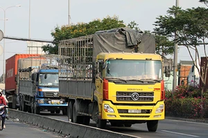 Kêu cứu vì xe ben hoành hành