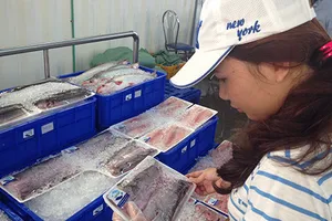 'Thượng đế' bất ngờ với cá ...đeo thẻ ở siêu thị