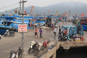 Trộm cắp, bảo kê ở cảng cá Đà Nẵng