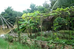 Thí điểm làng nghề tập trung tại Vườn thực vật Củ Chi