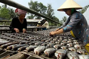 Cá và khô cũng nhiễm chất cấm