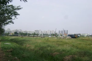 Đất không tách thửa được nên hợp đồng đặt cọc vô hiệu