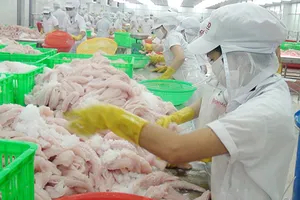 Đói nguyên liệu, nhiều nhà máy đóng cửa 