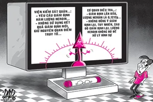 Án ma túy, nhập nhằng tội - không tội