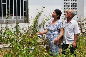 Án dân sự: níu áo tòa xử sai, được không?