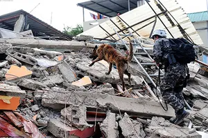 Vì sao động đất mạnh ở Nhật và Ecuador? 