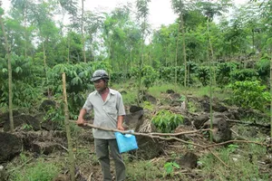 Vụ ‘Một con dê 3 vụ án hình sự’: Thêm 2 người nữa bị kết án tù