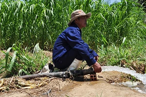 Nha Trang: Nhà máy nước bị đe dọa