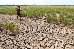 Thủy điện trên sông Mekong lợi ít, hại nhiều