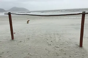 Bãi biển đẹp… để dành