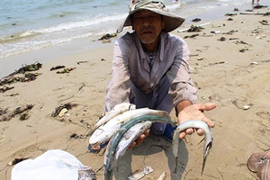 Cá chết hàng loạt ở các nước: Bài học xương máu cần tránh