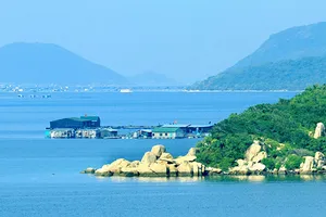 Người quyết liệt chống dự án thép chục tỉ đô ở Vịnh Vân Phong 