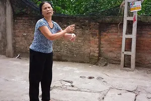 Trộm bưởi làm chết người, tội gì?