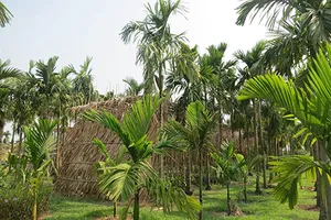 Nhớ Sài Gòn… khi ở Sài Gòn