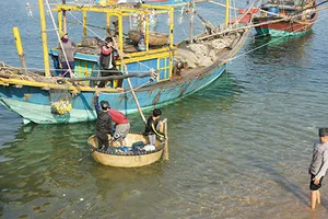 Bắt đầu tổng kiểm tra việc xả thải của Formosa