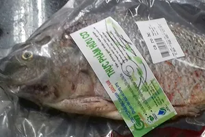 Thịt, tôm, cá… hữu cơ Việt hút nhà đầu tư ngoại