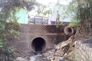 Lấp suối xây nhà trọ không phép