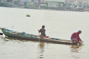Nước sông Hậu trong xanh: Đừng quá lo! 