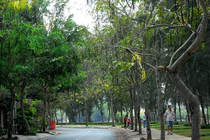 Sắc hoa màu nhớ