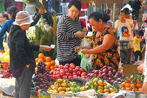 Trái cây theo đại gia Thái đổ bộ vào Việt Nam