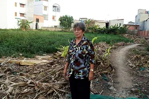 Tòa dùng ‘từ lạ’, khó thi hành án 