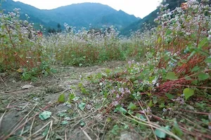 Du lịch hay tàn phá thiên nhiên?