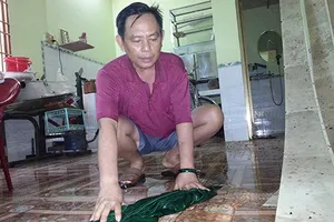 Nhà máy xây sai phép, ‘hành’ dân