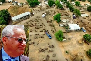 Trung Quốc ‘thảm sát’ rừng