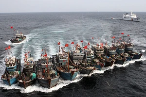 Tàu cá Trung Quốc càn quét các vùng biển khắp thế giới