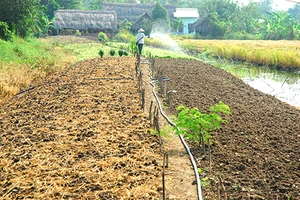 Không có chuyện hạn chế diện tích đất chuyển mục đích 