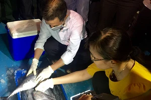 Đã xác định được nguyên nhân cá chết