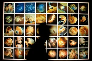 Cần biết khi đông lạnh trứng