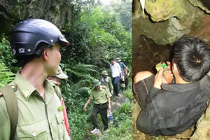 Khó cứu ba phu vàng bị kẹt dưới hang sâu 400 m
