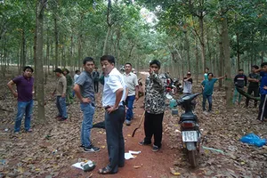 Làm rõ tố cáo ‘biến tài sản của dân thành của DN’