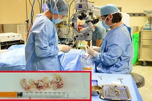 Bác sĩ Việt ‘cứu nguy’ nhiều quý bà 