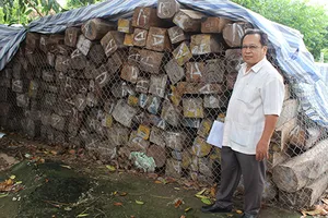 Kết luận không buôn lậu vẫn ‘giam’ hàng