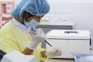 Khám sức khỏe trước khi kết hôn, nên không?