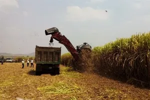 Hoàng Anh Gia Lai được miễn thuế nhập khẩu đường từ Lào