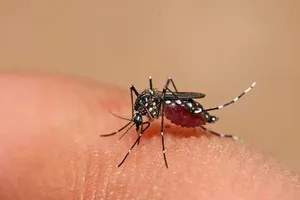 Gia Lai: Bệnh sốt xuất huyết diễn biến phức tạp