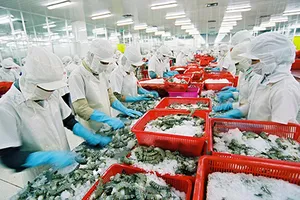 Xin chứng nhận thủy sản khai thác: Vướng quy định mới 