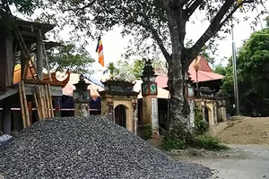 Nghi vấn giám đốc bị bắn do ân oán giang hồ 